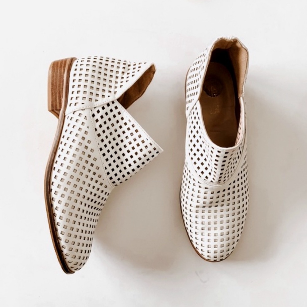 GORGEOUS Catherine Malandrino | Arya Perforated Booties